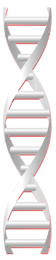 Bioidentical Genetic Algorithm